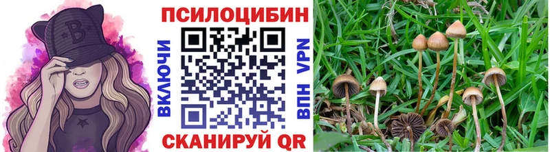 omg вход  Бахчисарай  Псилоцибиновые грибы Psilocybe 
